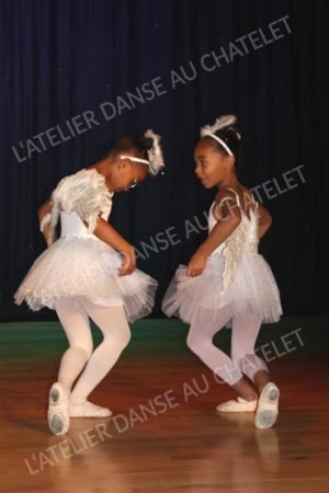 Abelia-Lia-1-web