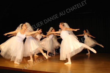 Charlotte-6-web