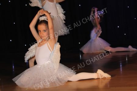 Elya-4-web