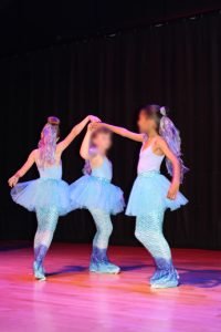 P2-4-web
